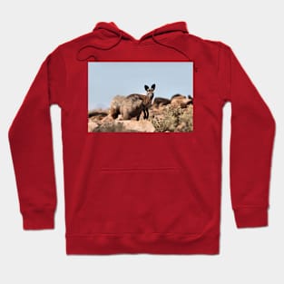 Western Grey Kangaroo Hoodie